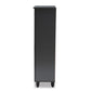 Winda Modern and Contemporary Dark Gray 4-Door Wooden Entryway Shoe Storage Cabinet FredCo