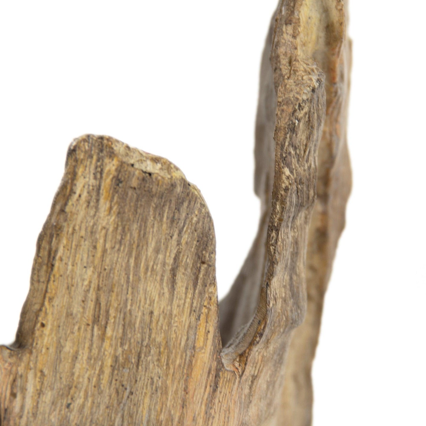 Wooden Sculpture (L) SHI046 FredCo
