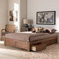 Wren Modern and Contemporary Walnut Finished 3-Drawer Full Size Platform Storage Bed Frame FredCo